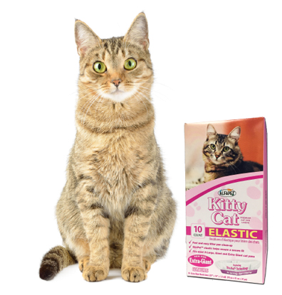 Elastic Kitty Cat Liners